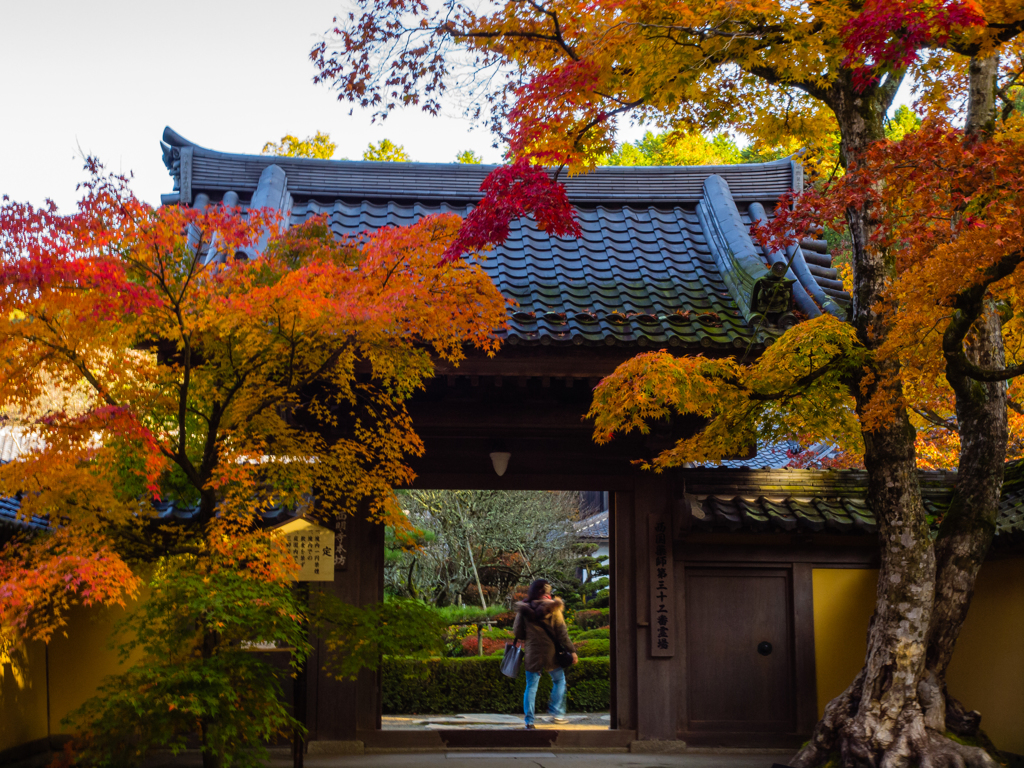 西明寺　その壱