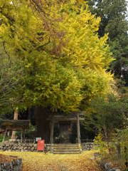 春日神社