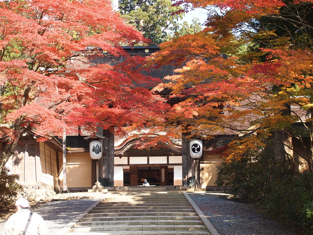 金剛峯寺（高野山）