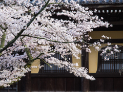 南禅寺　その壱