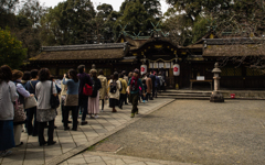 平野神社