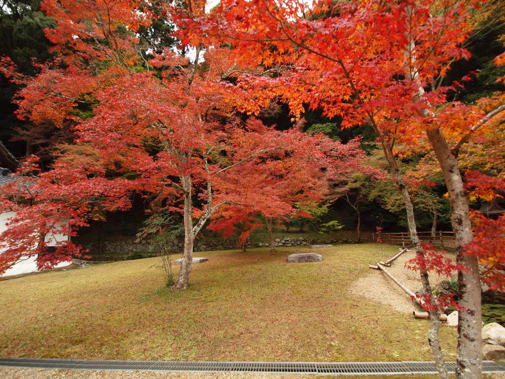 正暦寺