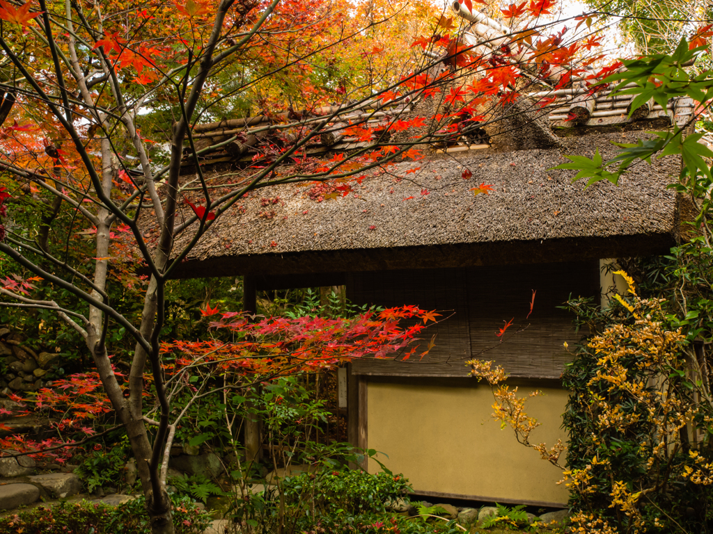 厭離庵　その参