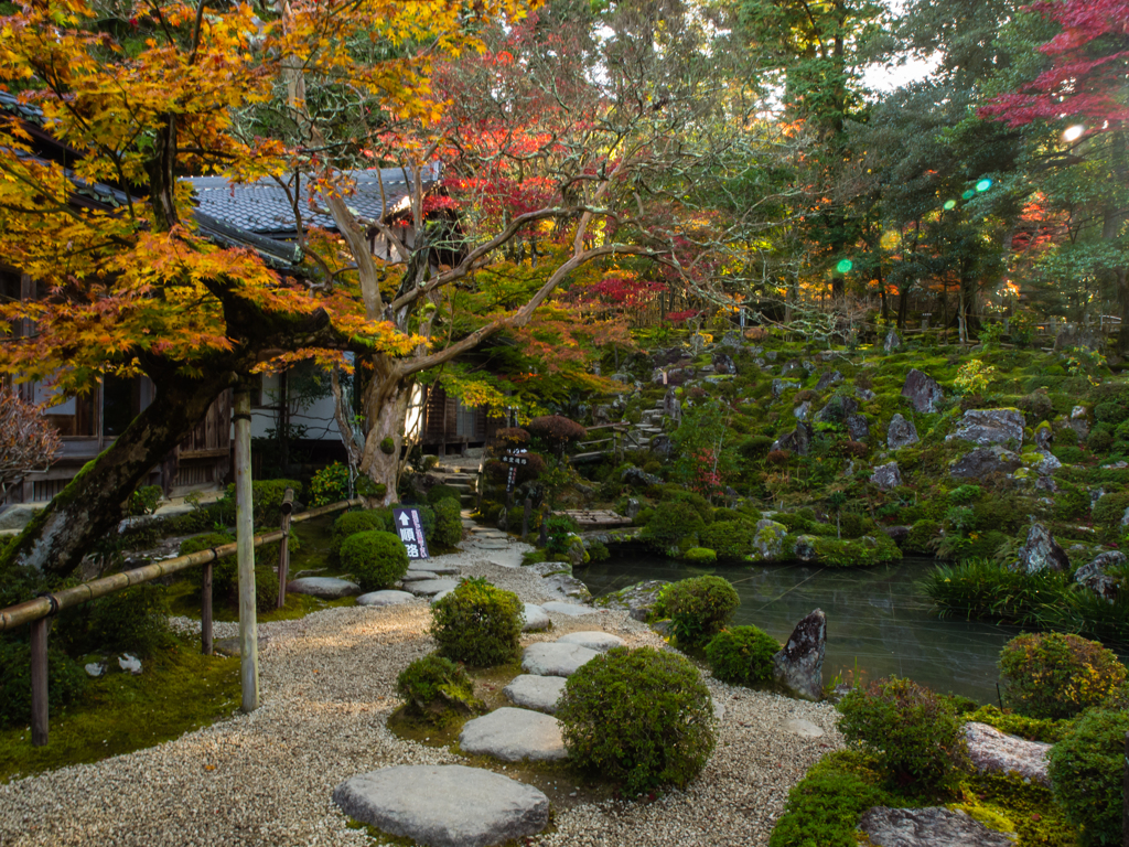 西明寺　その参