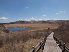 八島ヶ原湿原