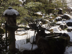 妙満寺　雪の庭　①