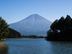 田貫湖からの富士山