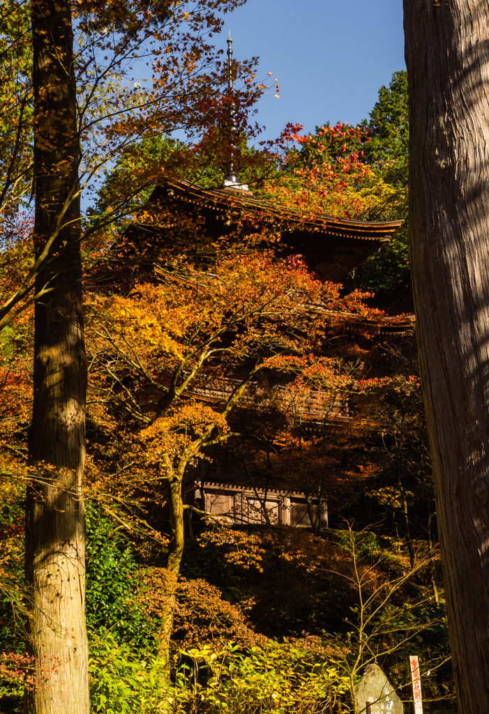 金剛輪寺　その参