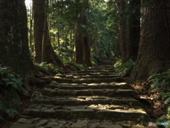 熊野古道　その四