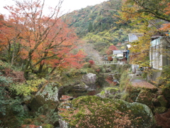 一目八景付近の遊歩道