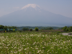 富士山　忍野村より②