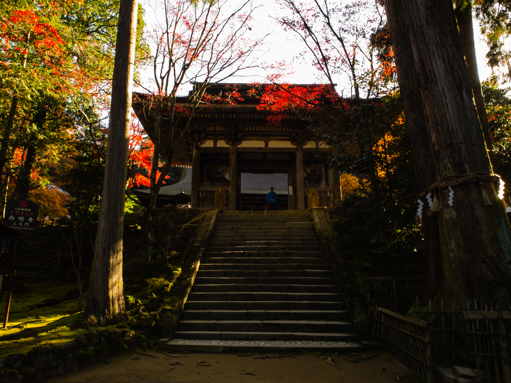 西明寺　その五