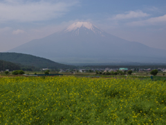 富士山　忍野村より①