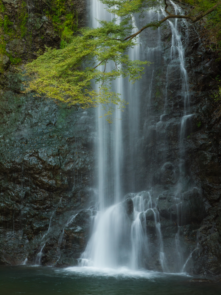 箕面の滝③