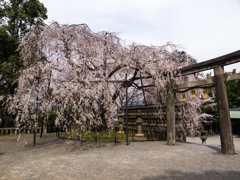 大石神社　その四