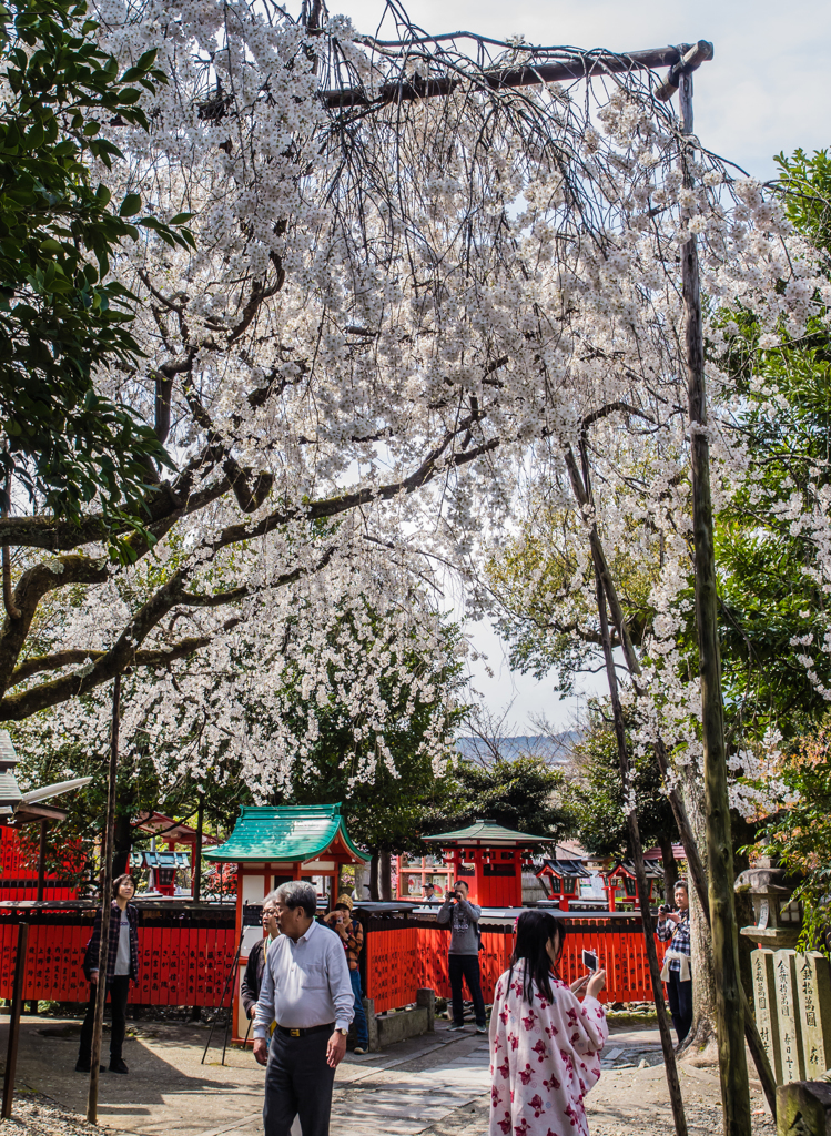 車折神社　２