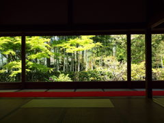 宝泉院①