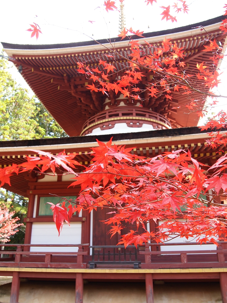 壇上伽藍・東塔（高野山）