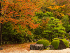 三室戸寺②