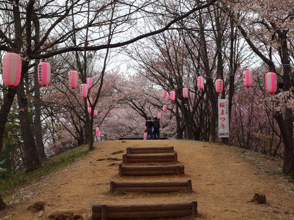 弘法山古墳その２