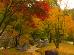 三室戸寺⑤