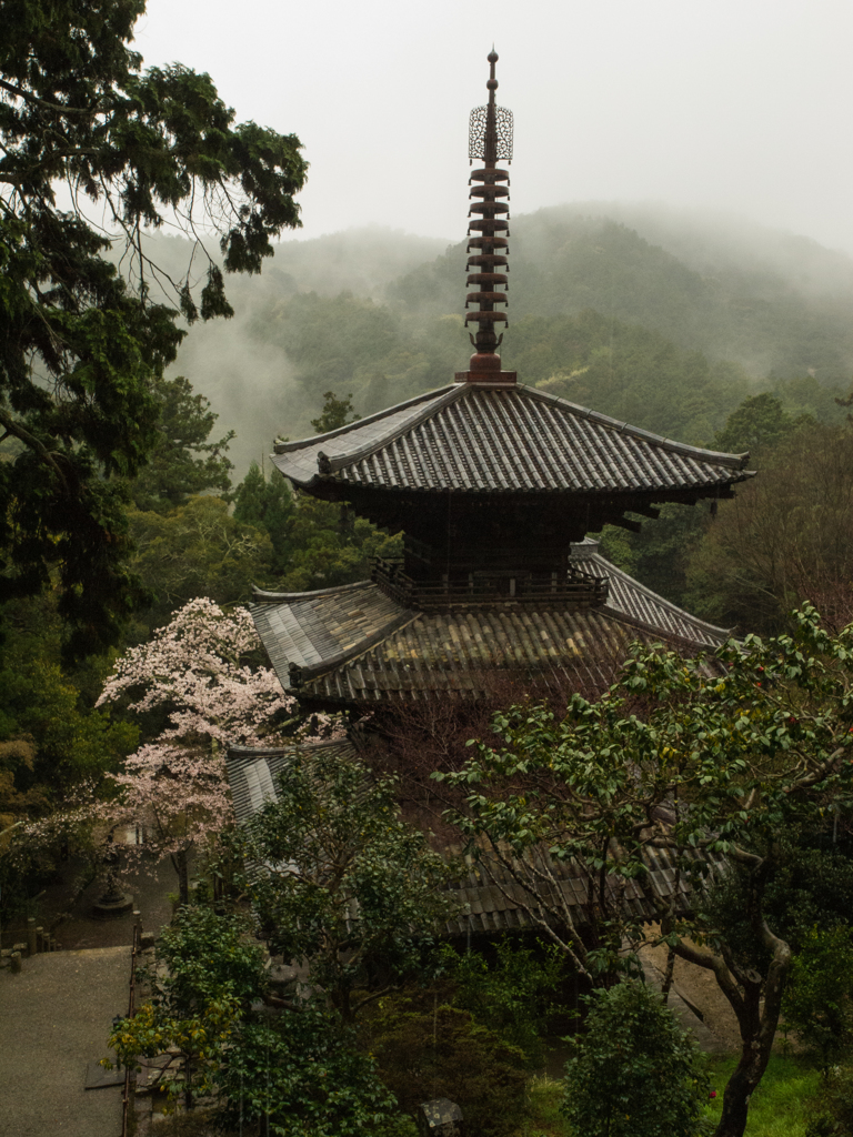 一条寺