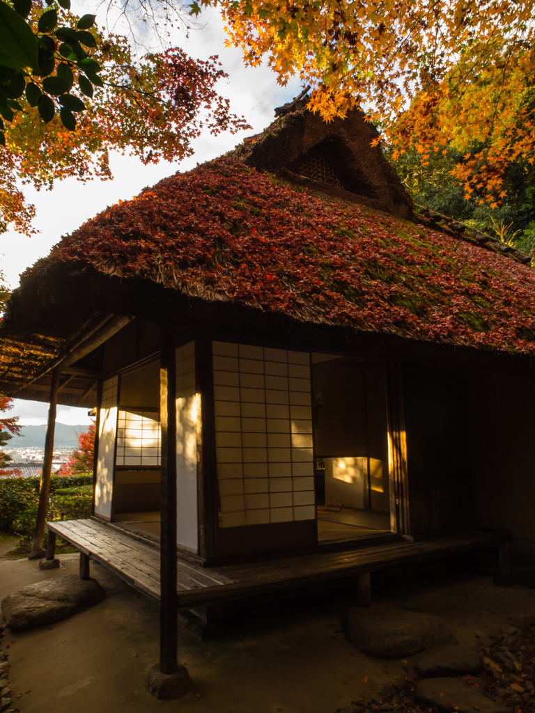 金福寺　その弐