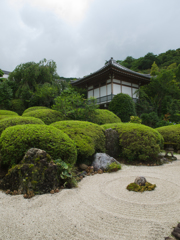興禅寺　庭園