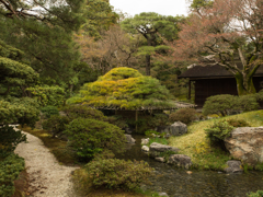 京都御所　その五