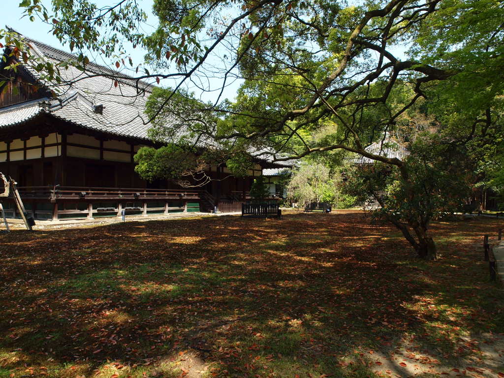 青蓮院門跡