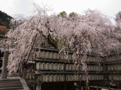 大石神社　その壱