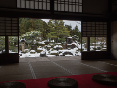 妙満寺　雪の庭　④