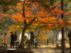 奈良公園　鏡池