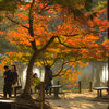 奈良公園　鏡池