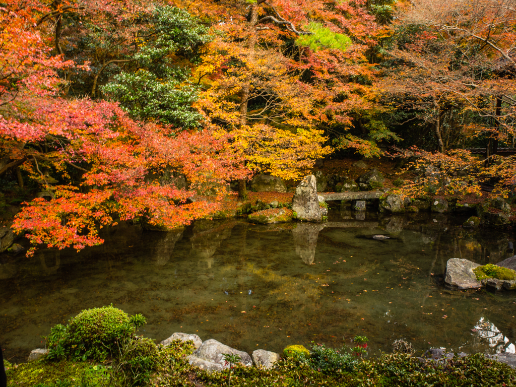 蓮華寺