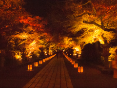 石山寺ライトアップ①