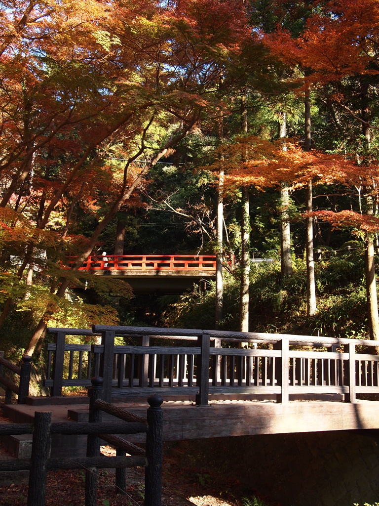 根来寺紅葉