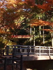 根来寺紅葉