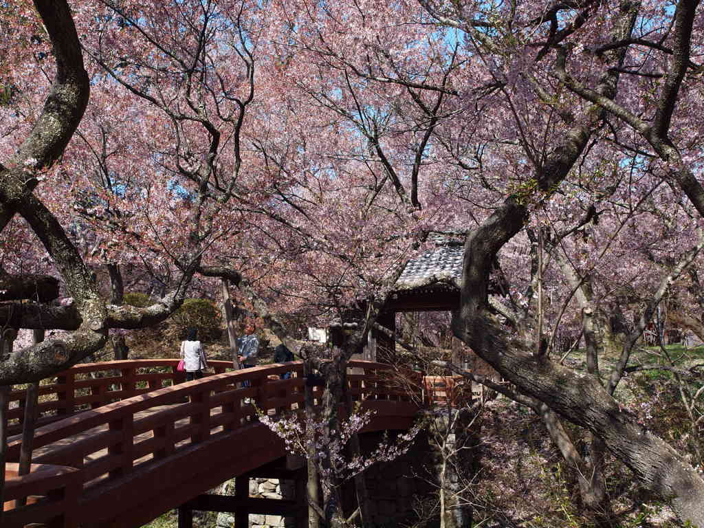 高遠城址②