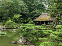 桂離宮　その四