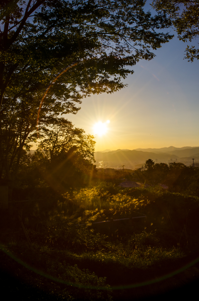 日本平の夕日