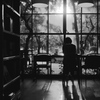 木漏れ日のあるブック・カフェ