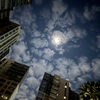 秋の夜長