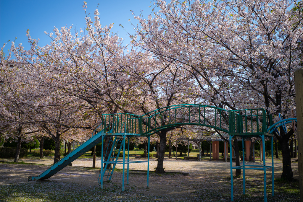 火曜日の公園