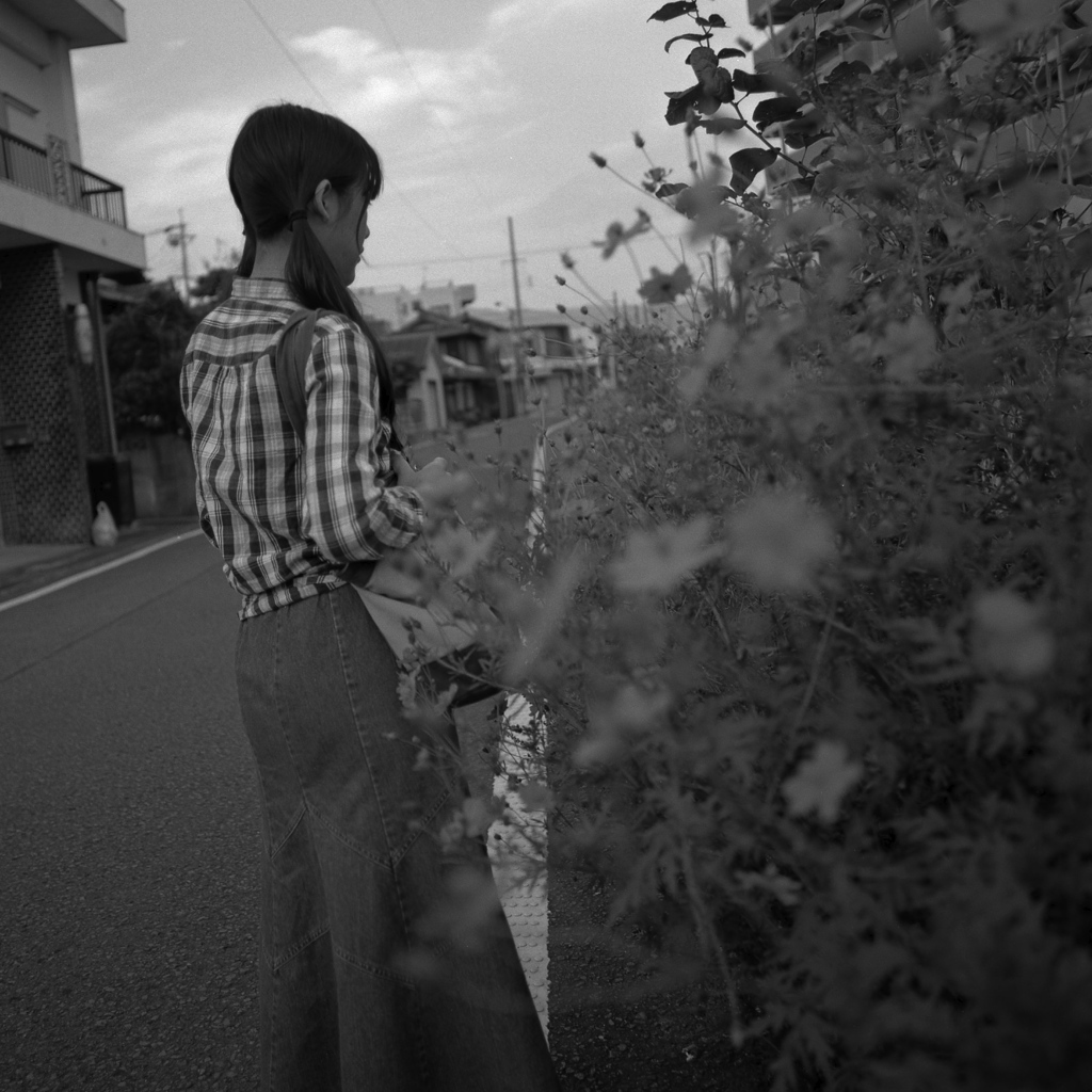 帰り道