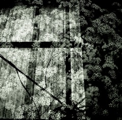 holy ground