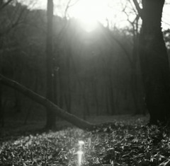 holy ground