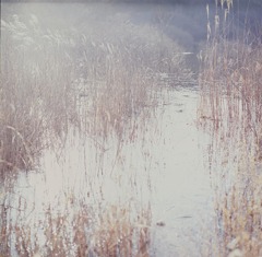 holy ground