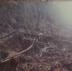 holy ground