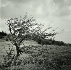 holy ground